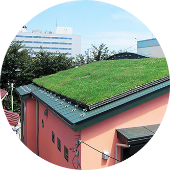 勾配のある木造屋根の緑化システム草屋根 株式会社イケガミ 勾配のある木造屋根の緑化システム草屋根 株式会社イケガミ