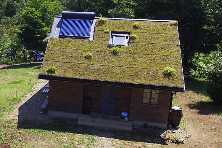 勾配のある木造屋根の緑化システム草屋根 株式会社イケガミ