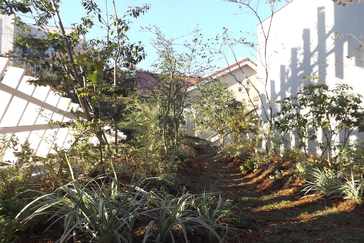 木下 病院 成城